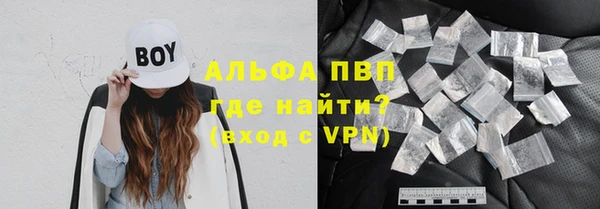 эйфоретик Баксан
