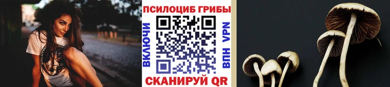 Псилоцибиновые грибы Cubensis  Верхняя Салда 